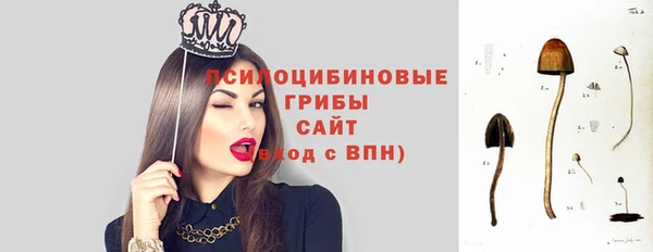 мдпв Нягань