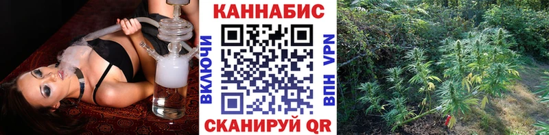 Бошки Шишки ГИДРОПОН  где найти   Комсомольск 
